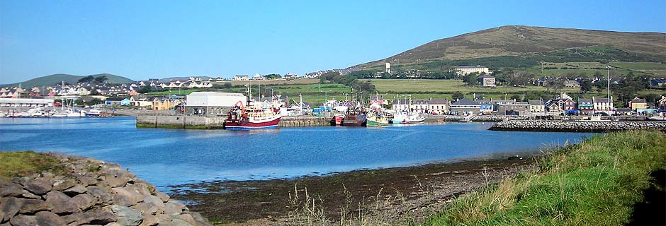 Fishing fleet in Dingle Harbour